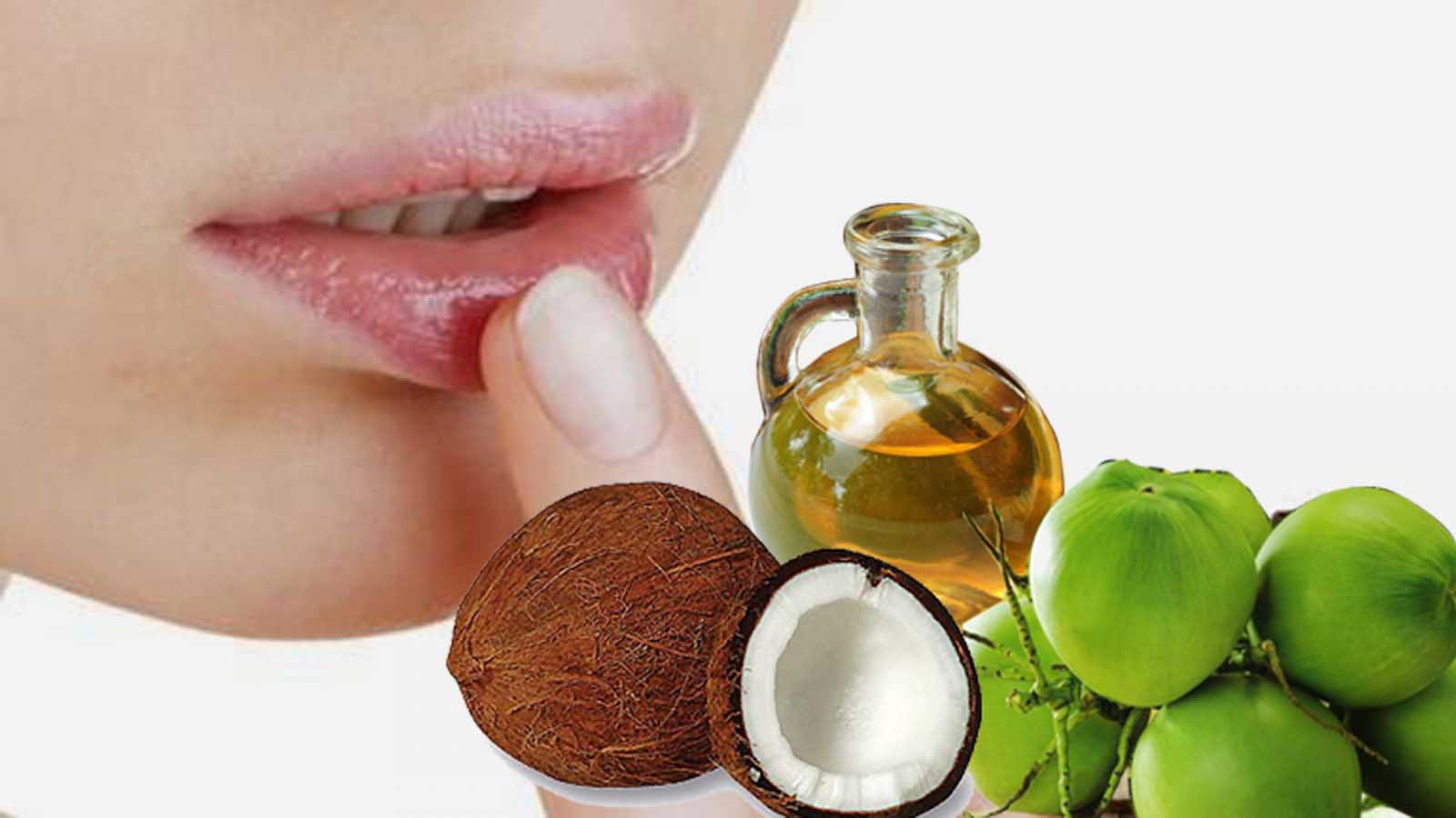 Value and potential of Vietnamese coconut oil